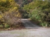 2015112912