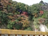 2015112919