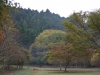 2015113002