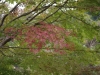 2015113003