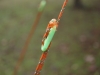 2015113007