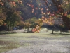 2015113013