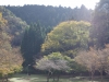 2015113016