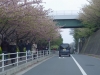 2016030536