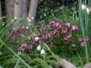 2016032605
