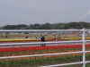 2016040901