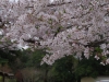 2016040910