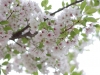 2016041003