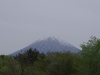 2016050308