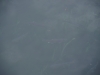 2016100819