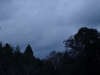 2016103013
