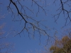 2016112724