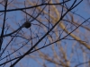 2017020309