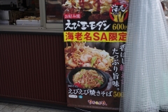 IMGP3299