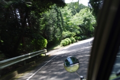 IMGP3319