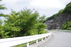 IMGP3353