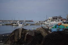 IMGP3405