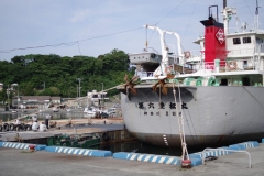 IMGP3414