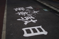 IMGP3422