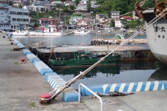 IMGP3433
