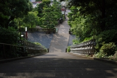 IMGP3462