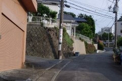 IMGP3468