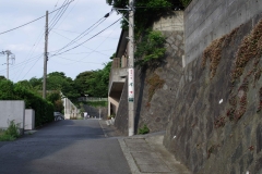 IMGP3470