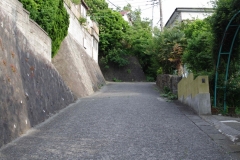 IMGP3471