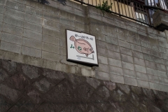IMGP3472