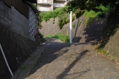 IMGP3474