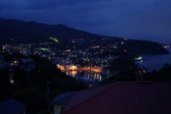 IMGP3490