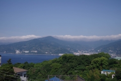 IMGP3499