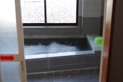 IMGP3503
