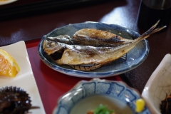 IMGP3520