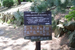 IMGP3535