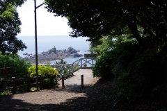IMGP3536