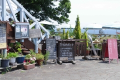 IMGP3539