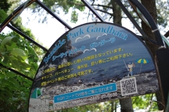 IMGP3563