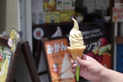 IMGP3593