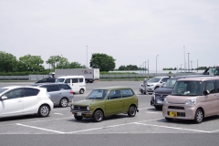 IMGP3605