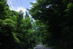 2017080353