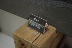 2017091740
