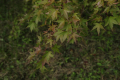 2018091808