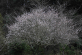 2019031601
