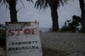 2019061425