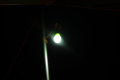 2019061455
