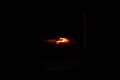 2019061459