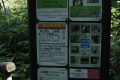 2019091522