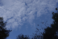 2019110406