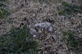 2019010101